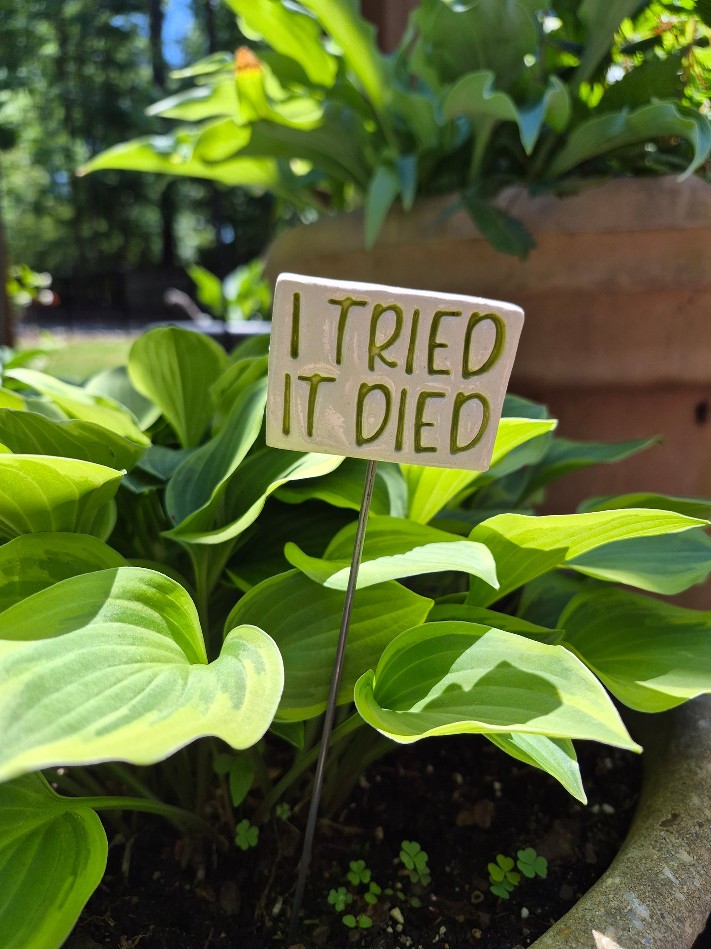 Garden Sign - I TRIED IT DIED