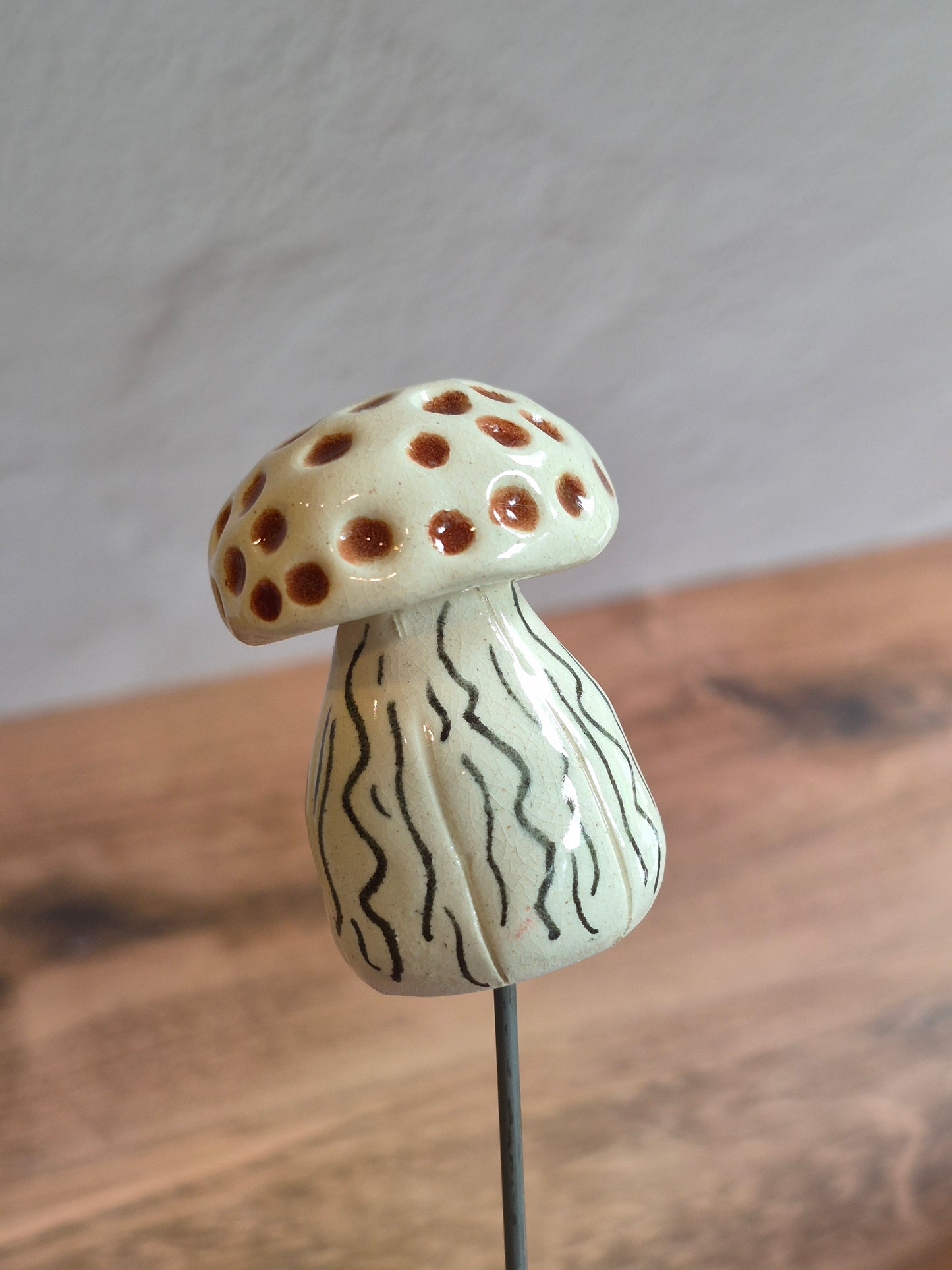 Mushroom 159