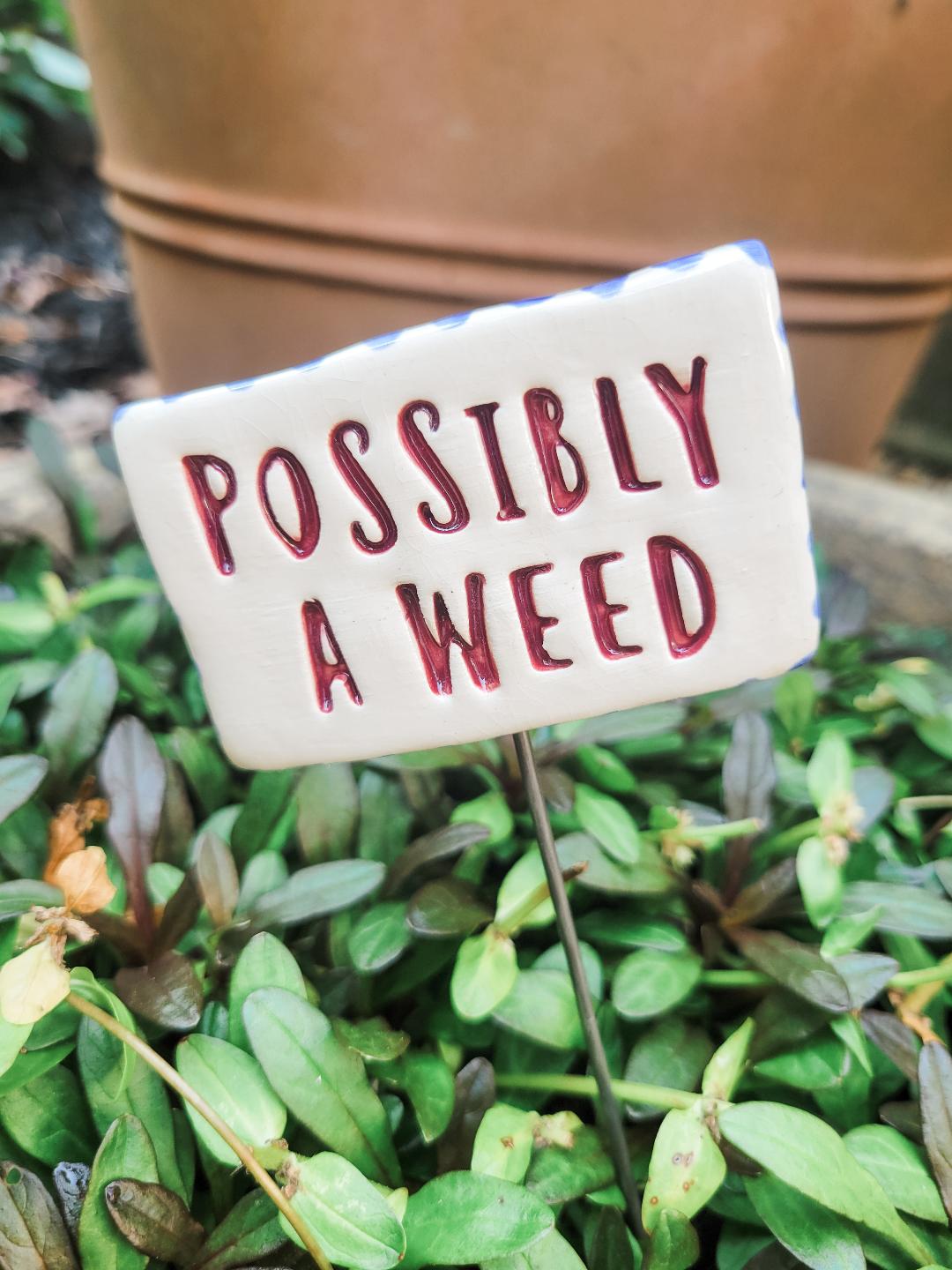 Garden Sign - POSSIBLY A WEED