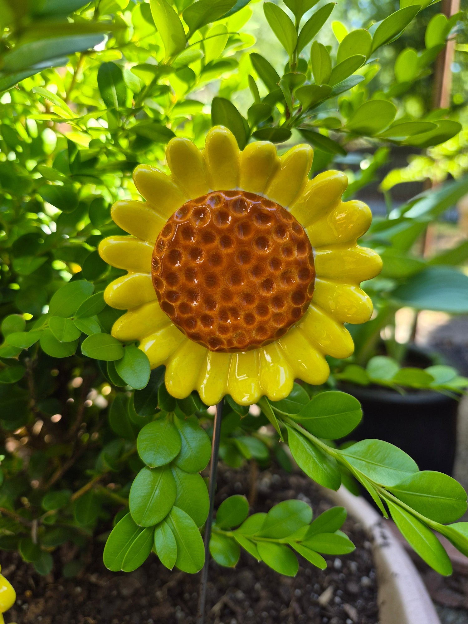 GARDEN FLOWERS