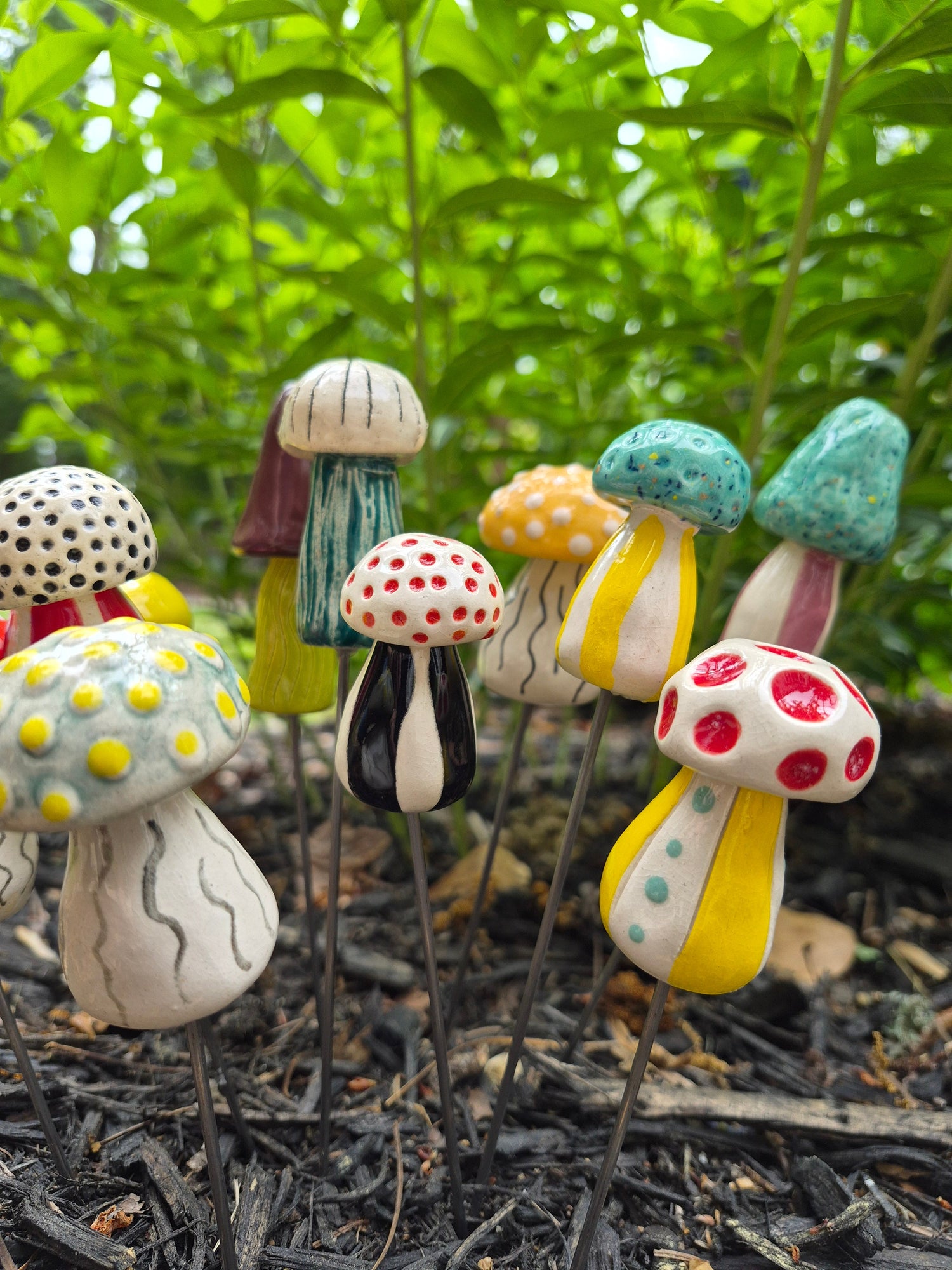 MUSHROOMS