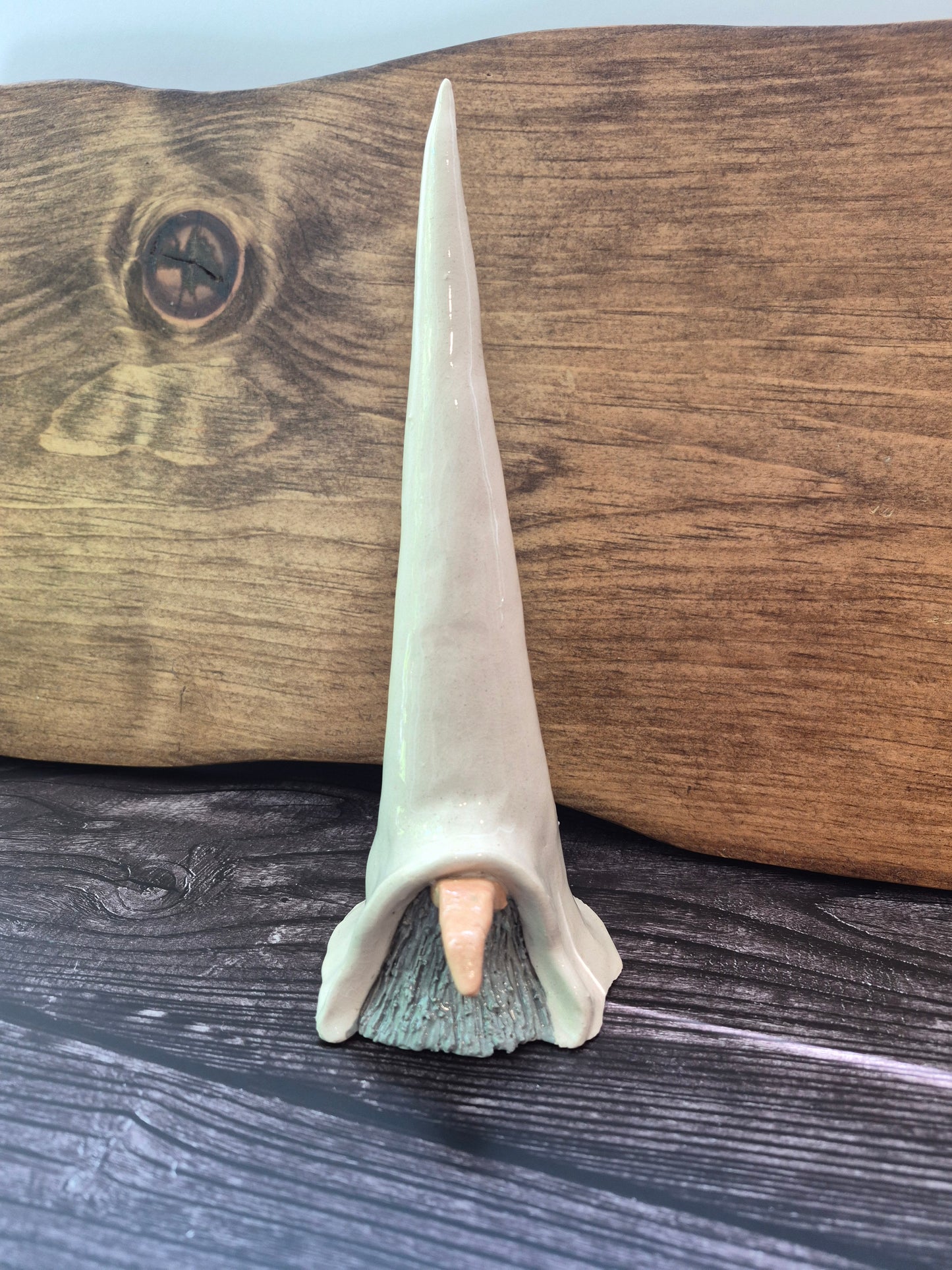 Gnome 144