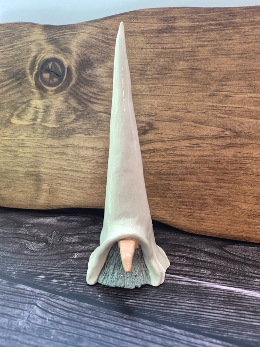 Gnome 144