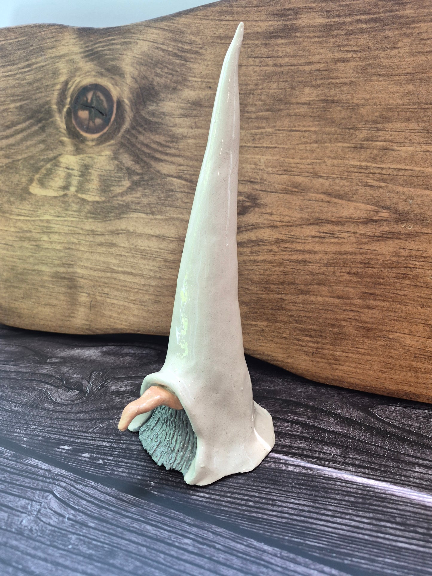 Gnome 144