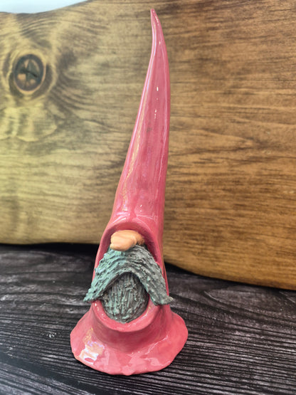 Gnome 146