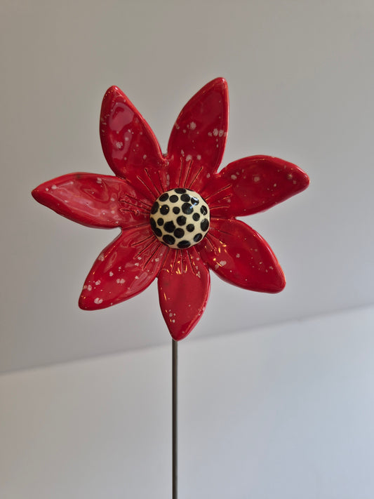Garden Flower - 001