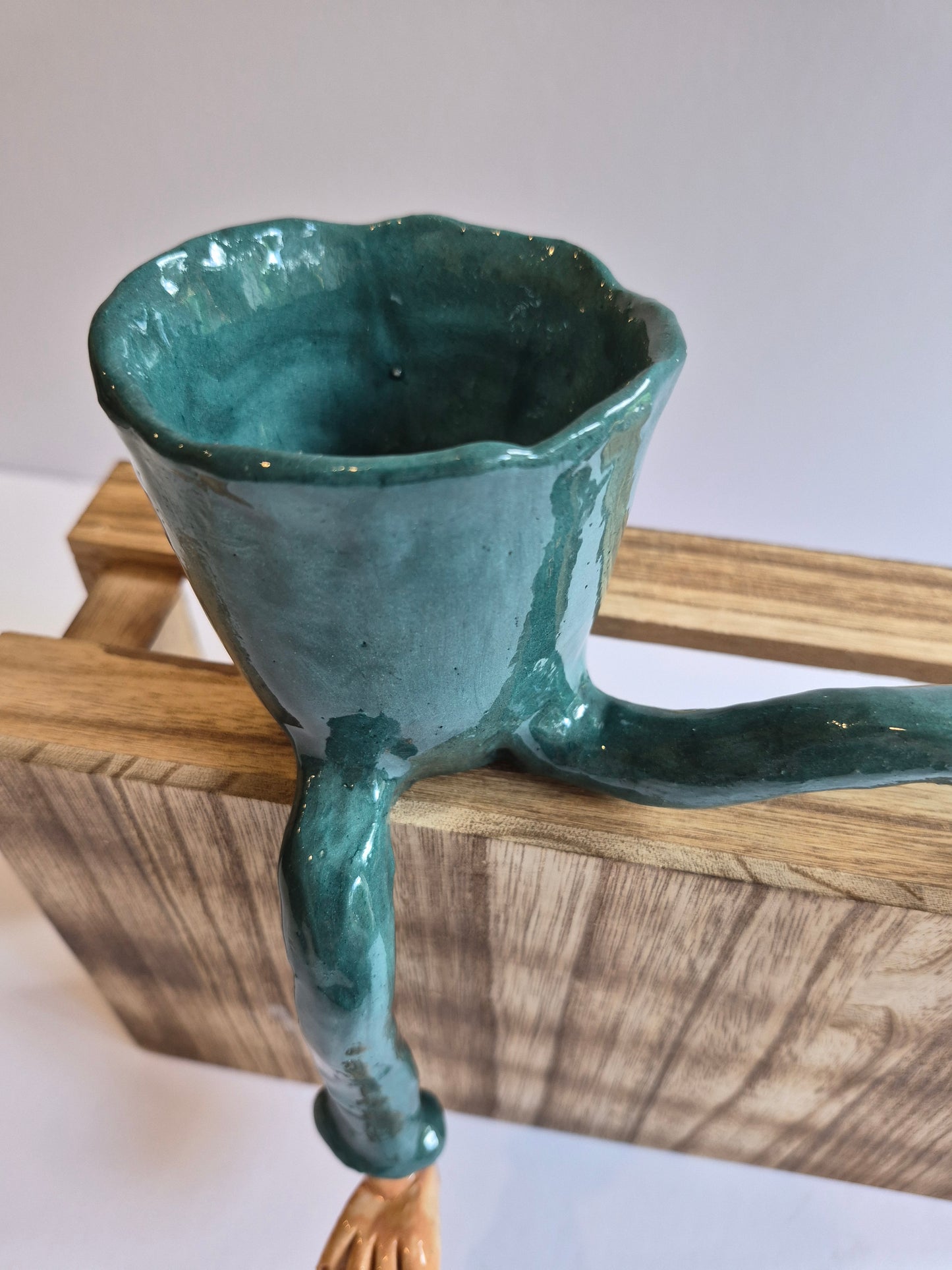 Legs Plant Holder