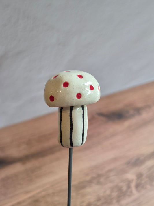 Mushroom 147