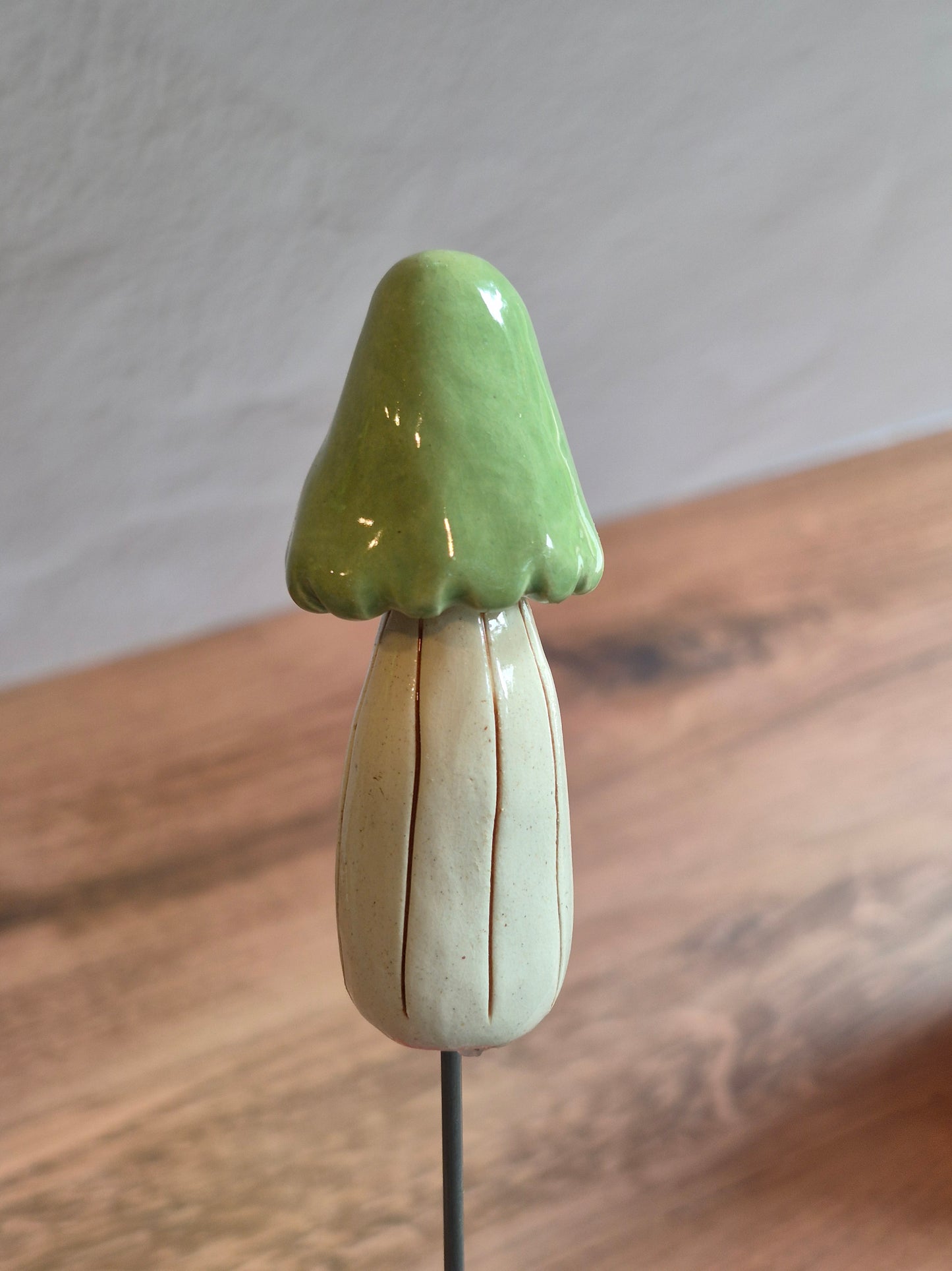 Mushroom 153