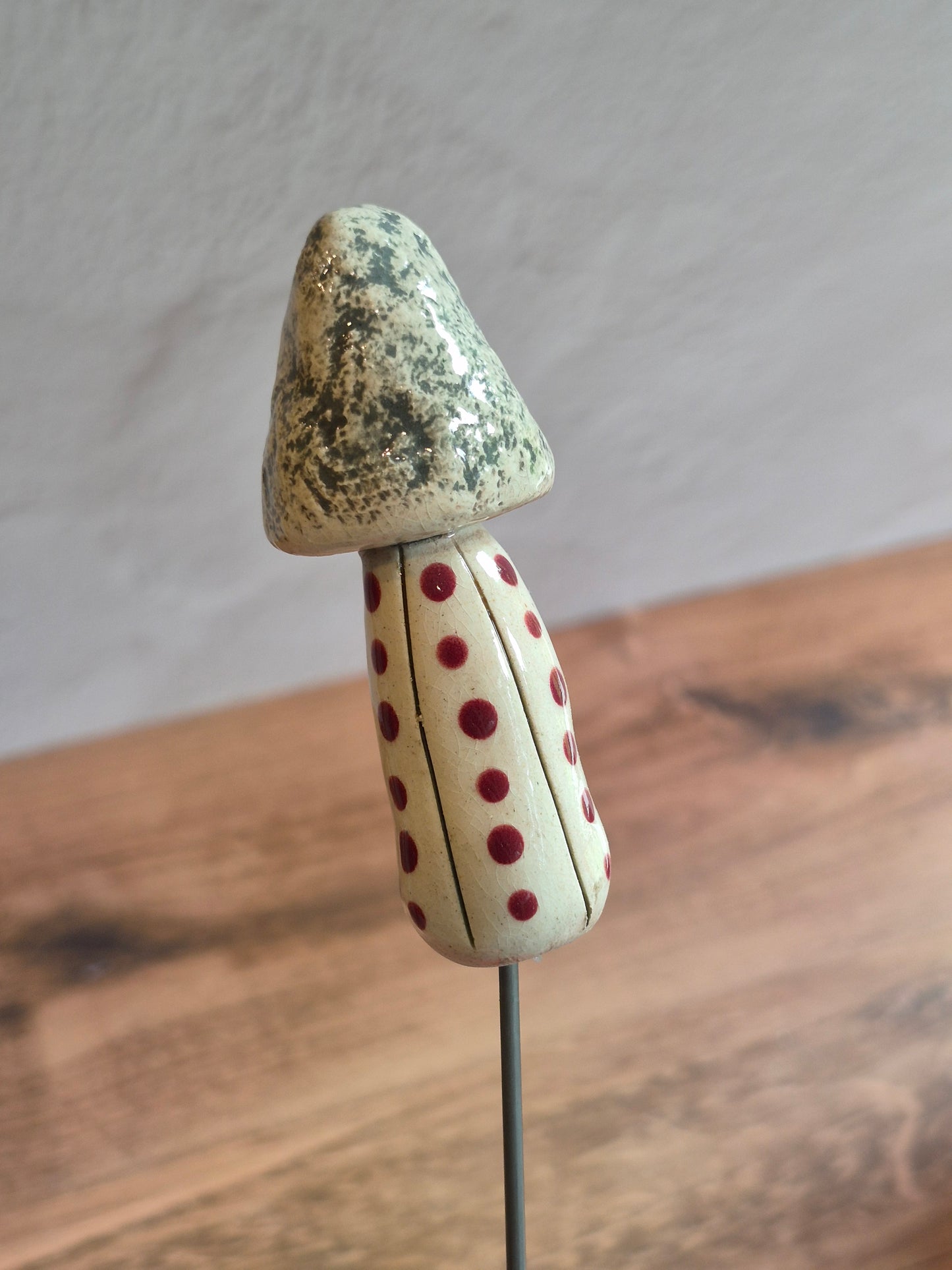 Mushroom 154