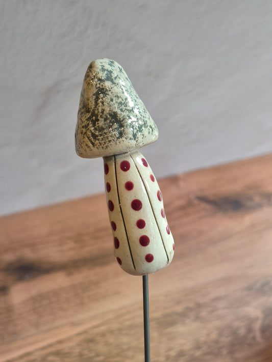 Mushroom 154