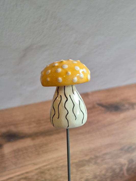 Mushroom 156