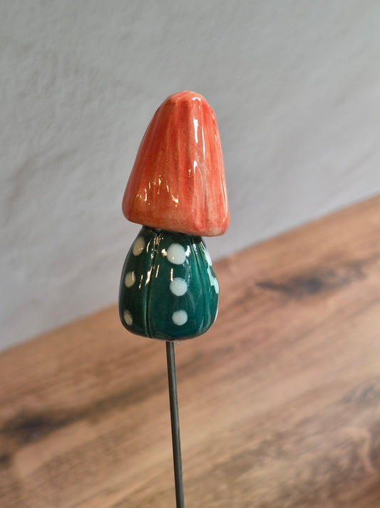 Mushroom 164